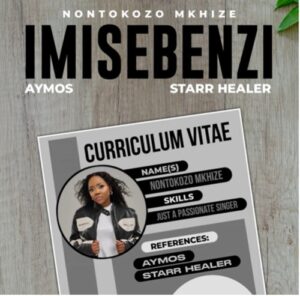 Nontokozo Mkhize Imisebenzi