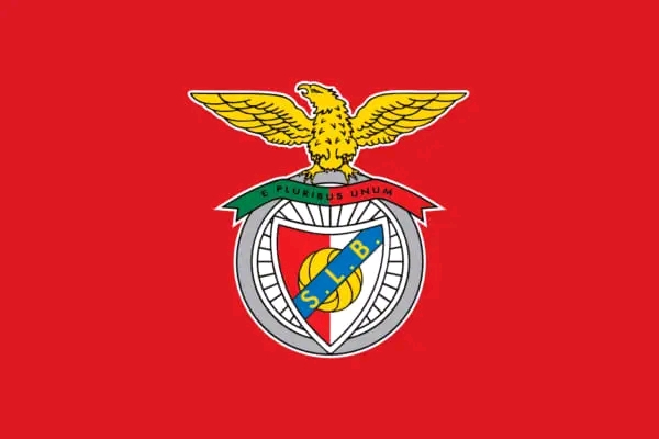 Benfica apresenta resultados negativos superiores a 20 milhões no clube e empresas